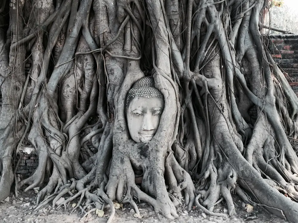 Ayutthaya